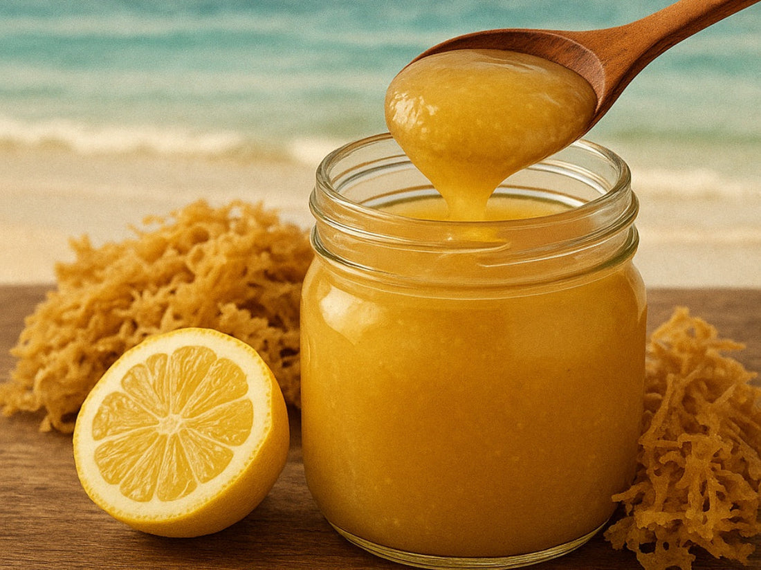 Sea Moss Gel: A Holistic Superfood That Changed My Life