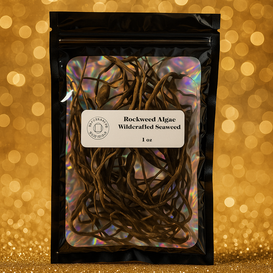 Wildcrafted Rockweed Algae (Atlantic City, NJ) – 1 oz